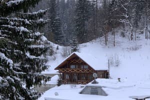 Терношорська Лада 20