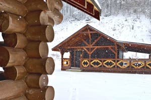 Терношорська Лада 24