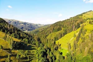 Терношорська Лада 12