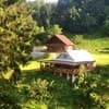 Терношорська Лада 19-20/56