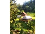 Терношорська Лада 19