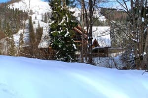 Терношорська Лада 34