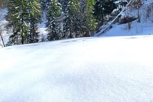 Терношорська Лада 35