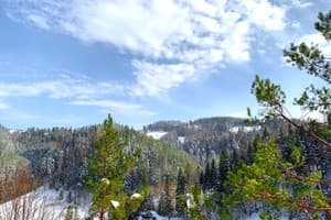 Терношорська Лада 36