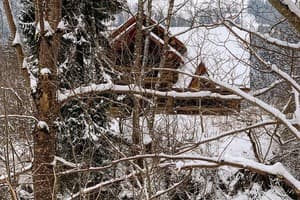 Терношорська Лада 38