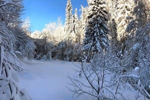 Терношорська Лада 41