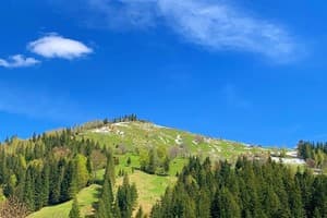 Терношорська Лада 24