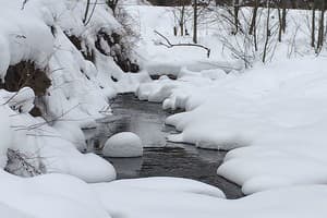 Терношорська Лада 52