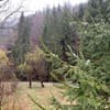 Терношорська Лада 30-31/56