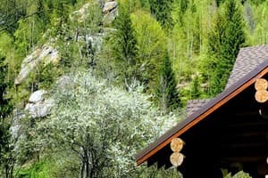 Терношорська Лада 26