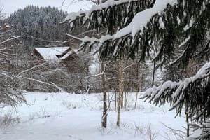 Терношорська Лада 55