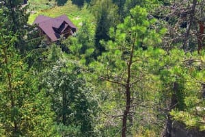 Терношорська Лада 31