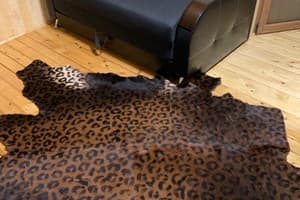 Терношорська Лада 66