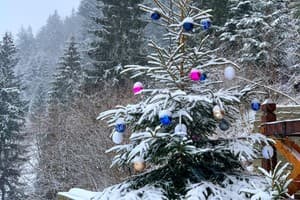 Терношорська Лада 68