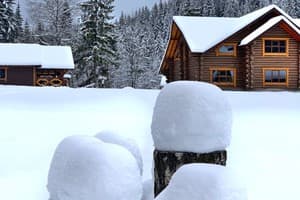 Терношорська Лада 70