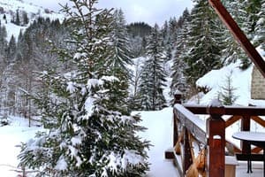 Терношорська Лада 75