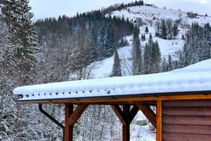 Терношорська Лада 79