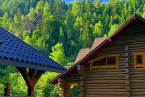 Терношорська Лада 46