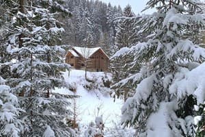 Терношорська Лада 81