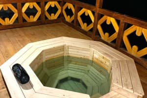 Терношорська Лада 83