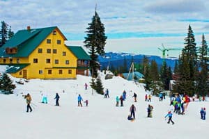 Частная усадьба Трембіта