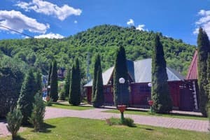 Трембіта  17