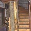 Трутень 19-20/23