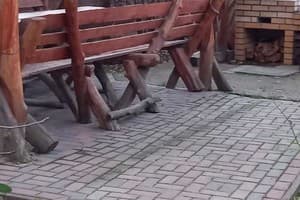 У Александра 4