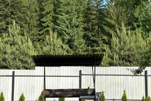 У Анастасии и Софии 2