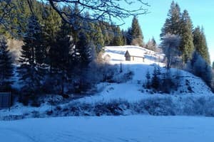 У Анастасийки 4