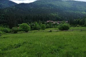 У Ангелины 14