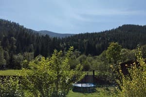 У Ангелины 12