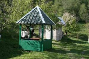 У Катерины  5