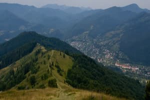 У Кухарских 3