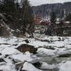 У Кухарских 6-7/7
