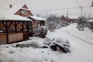 У Кузьмича  7