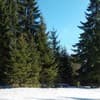 Частная усадьба У Миколки 1 У Миколки 1-2/11