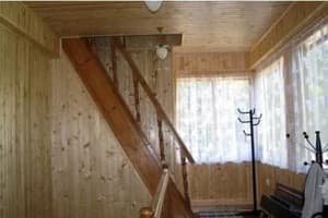 У Миши и Ани 3