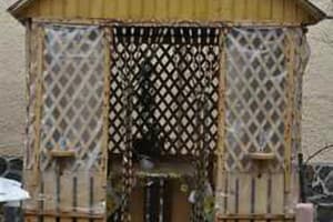 У Миши и Веры 2