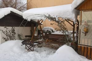 У Миши и Веры 17