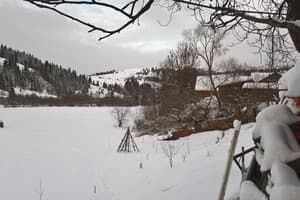 У Миши и Веры 21