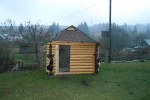 У Миши и Ярославы  1