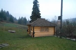 У Миши и Ярославы  3