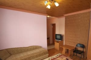 Частная усадьба У Нелі. Студио двухместный мансардный с кухней 2