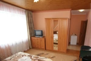 Частная усадьба У Нелі. Студио двухместный мансардный с кухней 3