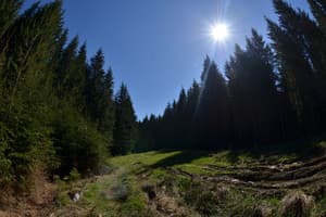 У Петра и Павла 2