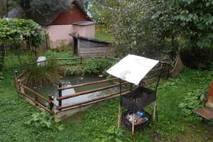 У Романа и Галины 2