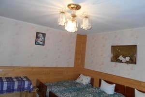 Частная усадьба У Романа и Галины. Эконом трехместный  2