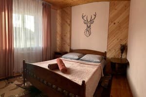 Частная усадьба У Русланы. Эконом двухместный  3