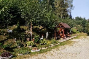 У Валентини 26